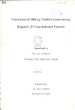 316.pdf.jpg