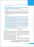 1489-Manuscript-9269-1-10-20190429.pdf.jpg